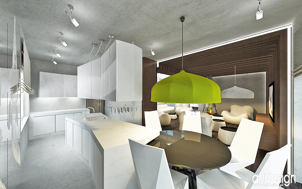 kuchnia, salon, jadalnia - designerskie projekty wnętrza